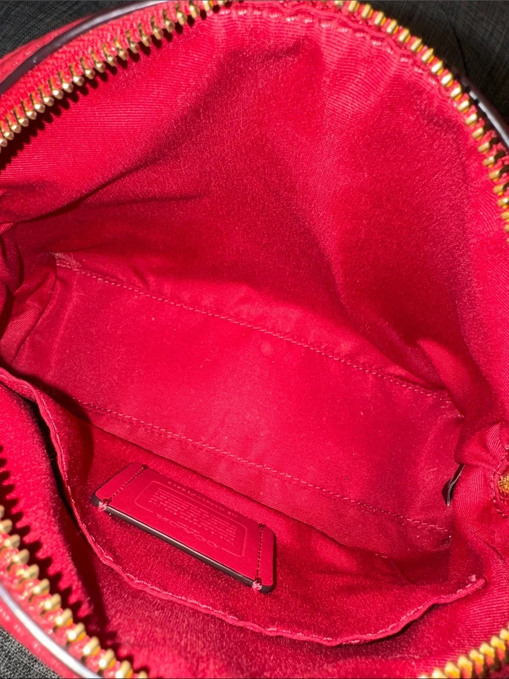 Coach Bag Dome Pebbled Leather Crossbody Bag NWT - Picture 15 of 17